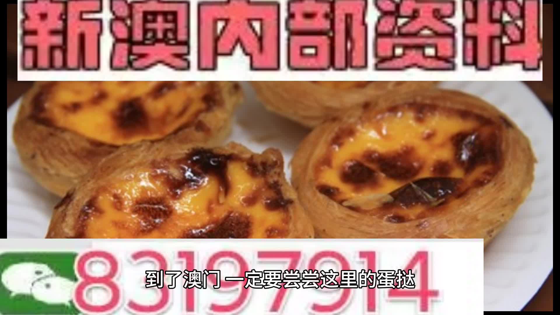 2024新澳正版免费资料大全,精准分析实践_CDZ29.848私人版