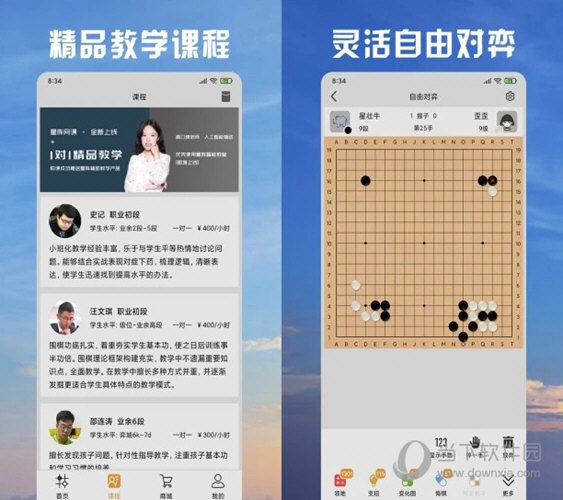 澳门彩天天免费精准资料,理论考证解析_YGD9.551专属版