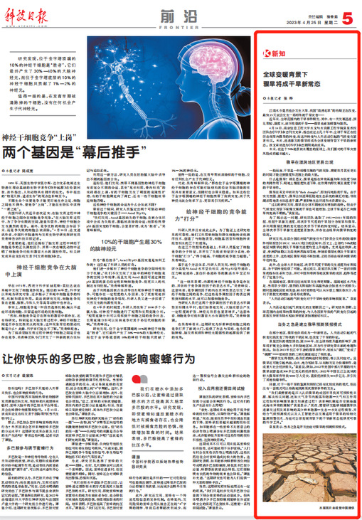 最新研究网，探索科技前沿，引领未来趋势之舟