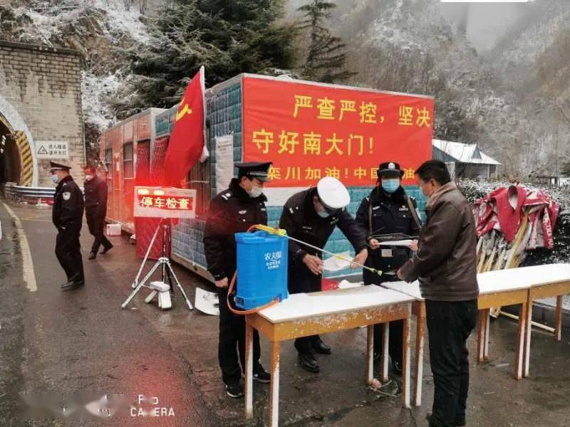 栾川最新疫情动态及观点论述