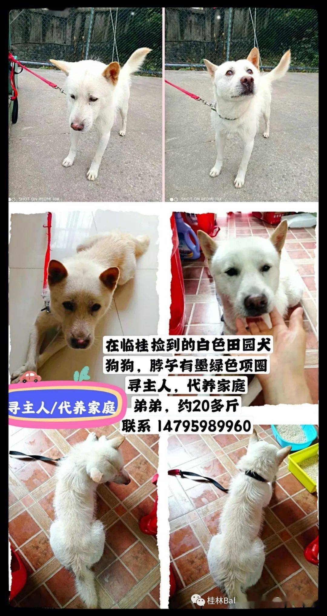 五A添盛坊青稞原浆 第291页