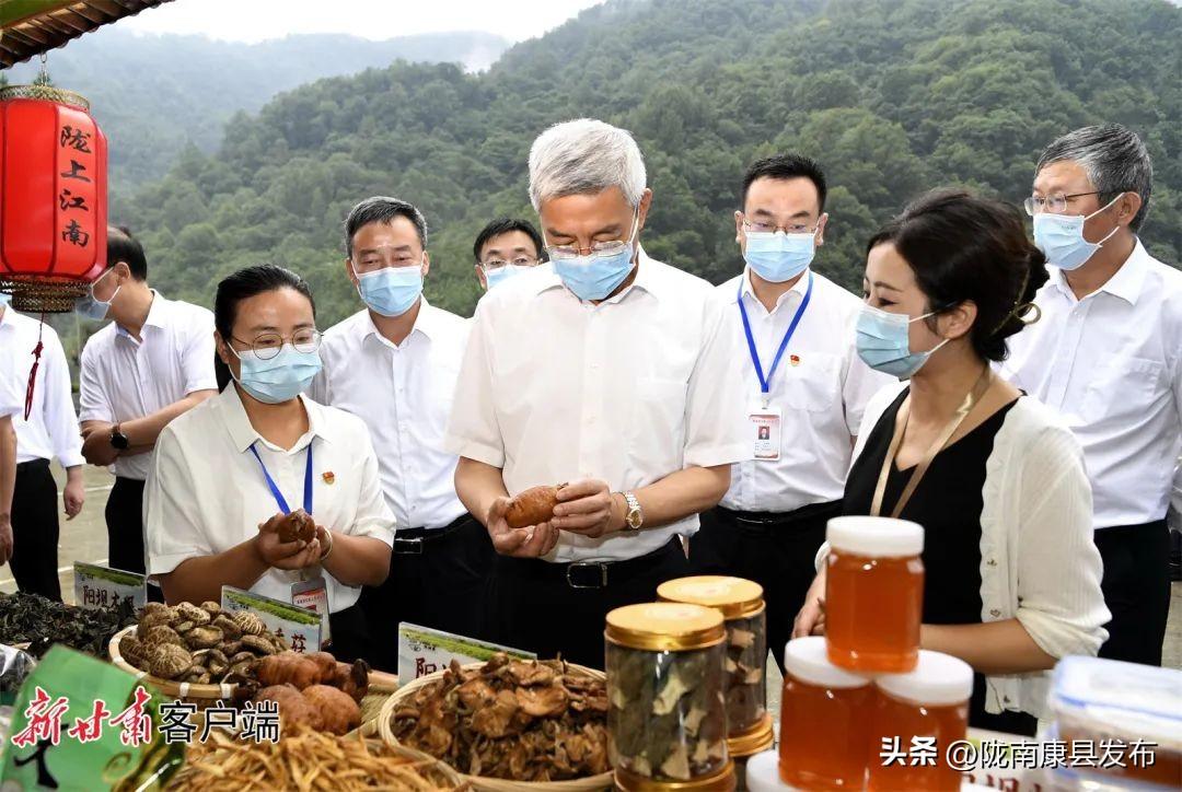 陇南暴雨受灾最新情况报告