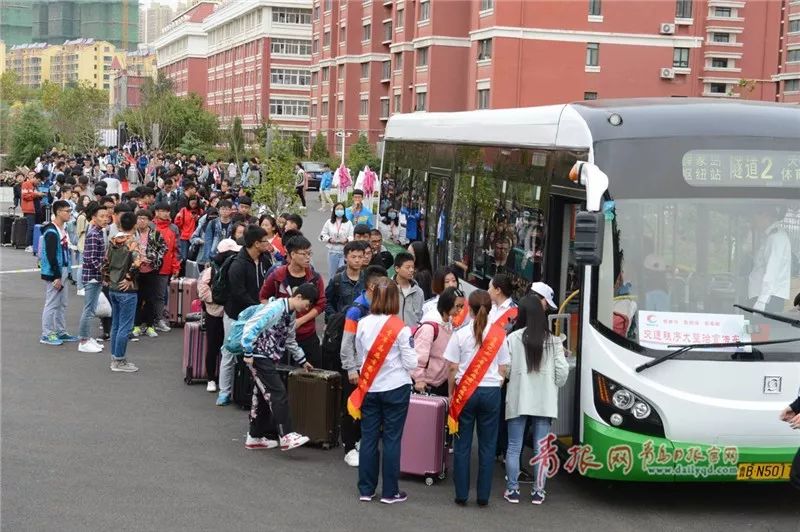 青岛公交最新动态，时代脉搏与城市流动的同频共振