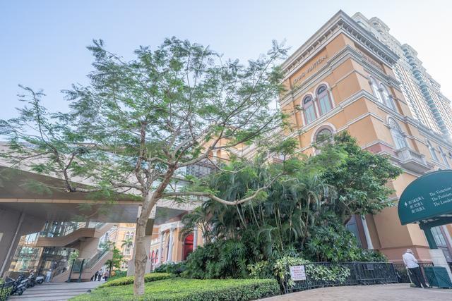 五A添盛坊青稞原浆 第277页