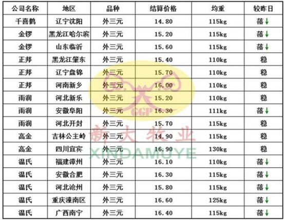 河南省最新生猪价格揭秘，巷弄深处的猪肉市场动态