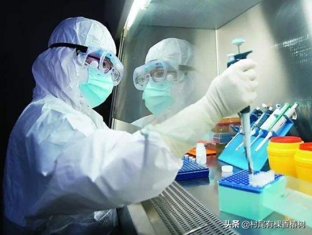 国外新冠肺炎最新疫情与巷弄深处的独特风味