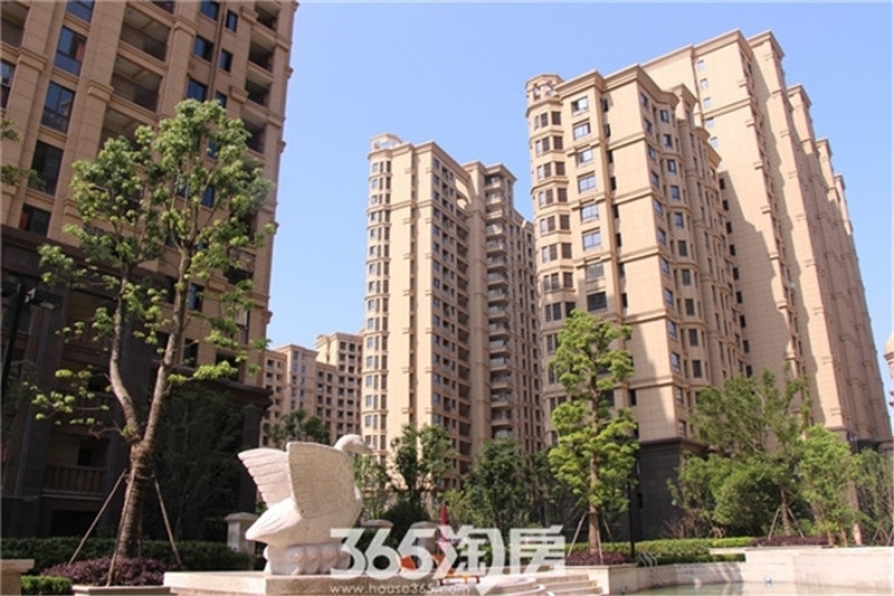 芜湖金浩最新房价发布，了解最新房价动态 🏠🏢