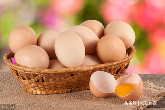 江苏今日鸡蛋价格行情深度解析