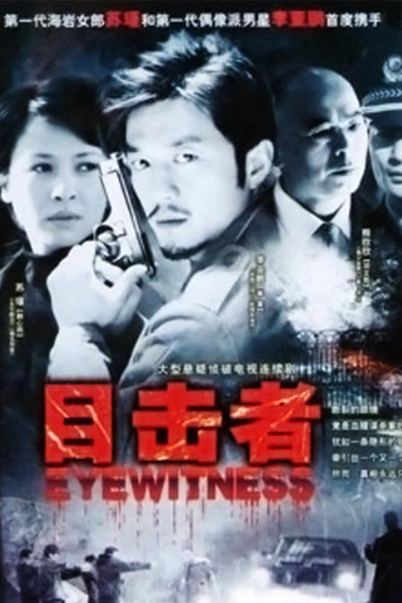 目击者，深度揭示真相与情感的剖析电视剧