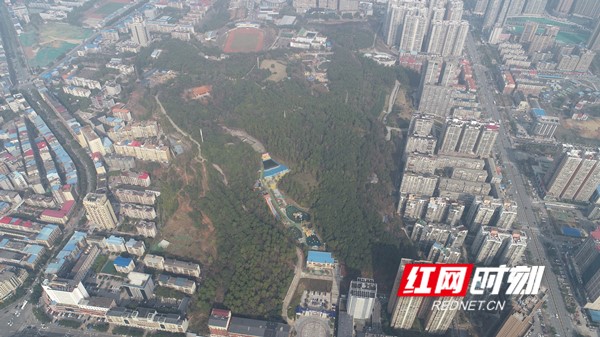永州幸福园最新动态,永州幸福园最新动态