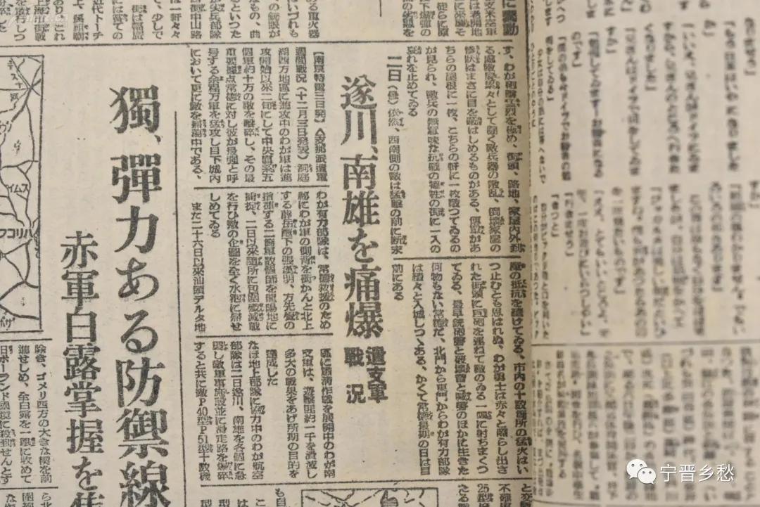 南雄最新新闻报道