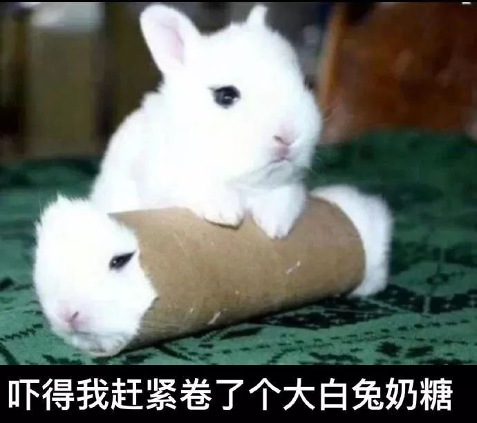 大白兔电影,大白兔电影，一场视觉与情感的盛宴