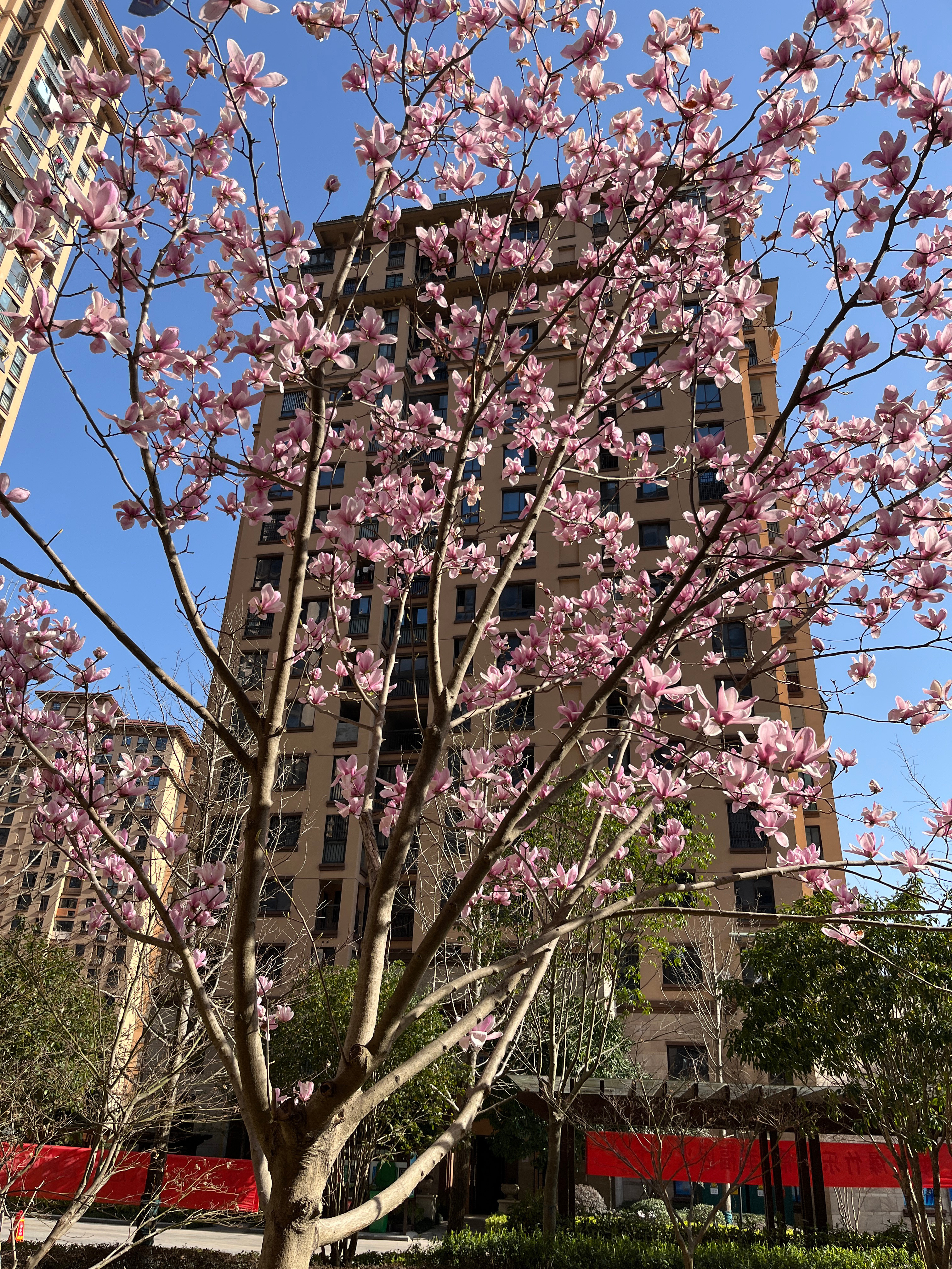 春暖花开新地址，变化中的学习之旅，自信与成就感的源泉启航地