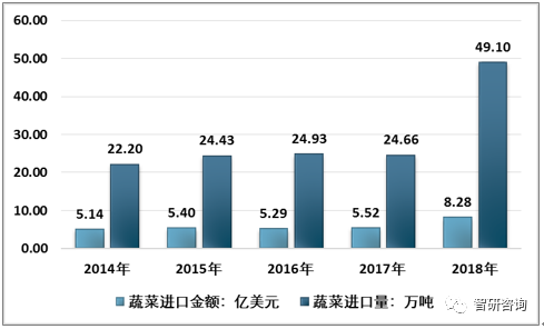 大蒜行情国际贸易网，科技驱动大蒜产业革新