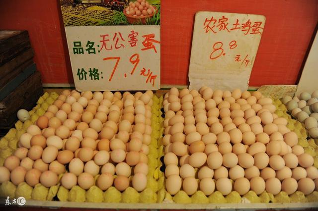 科技引领生活新纪元，最新菜场蛋价动态更新