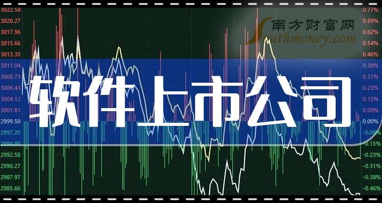 上市软件公司,上市软件公司详细步骤指南