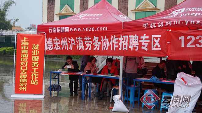 景洪最新兼职信息,景洪最新兼职信息，探讨其价值、影响与个人立场