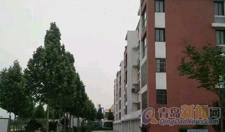 平度信息港最新房源，繁荣时代的变迁见证者