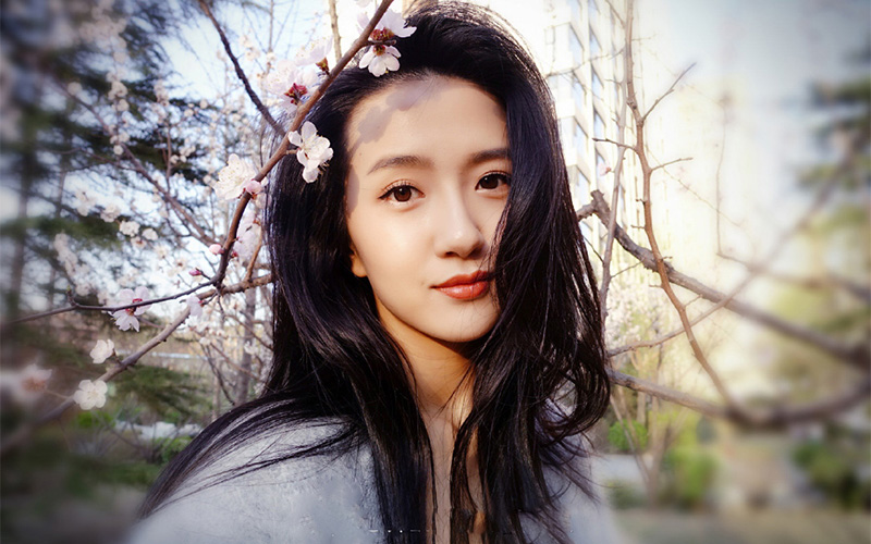 许龄月个人简介与演艺生涯