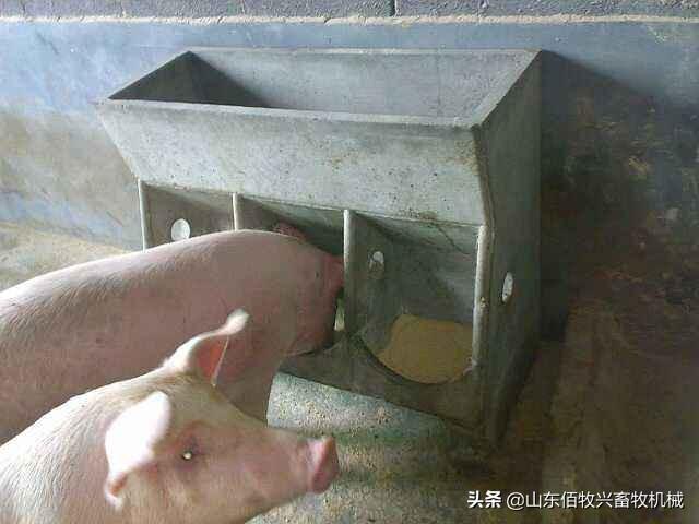 五A添盛坊青稞原浆 第175页