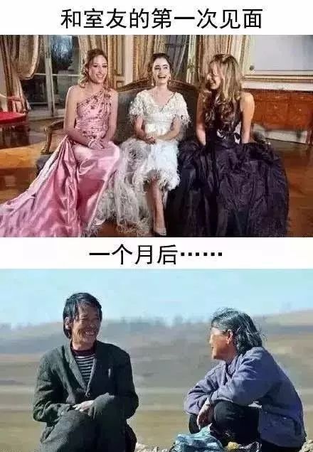 给室友的三行情深告白