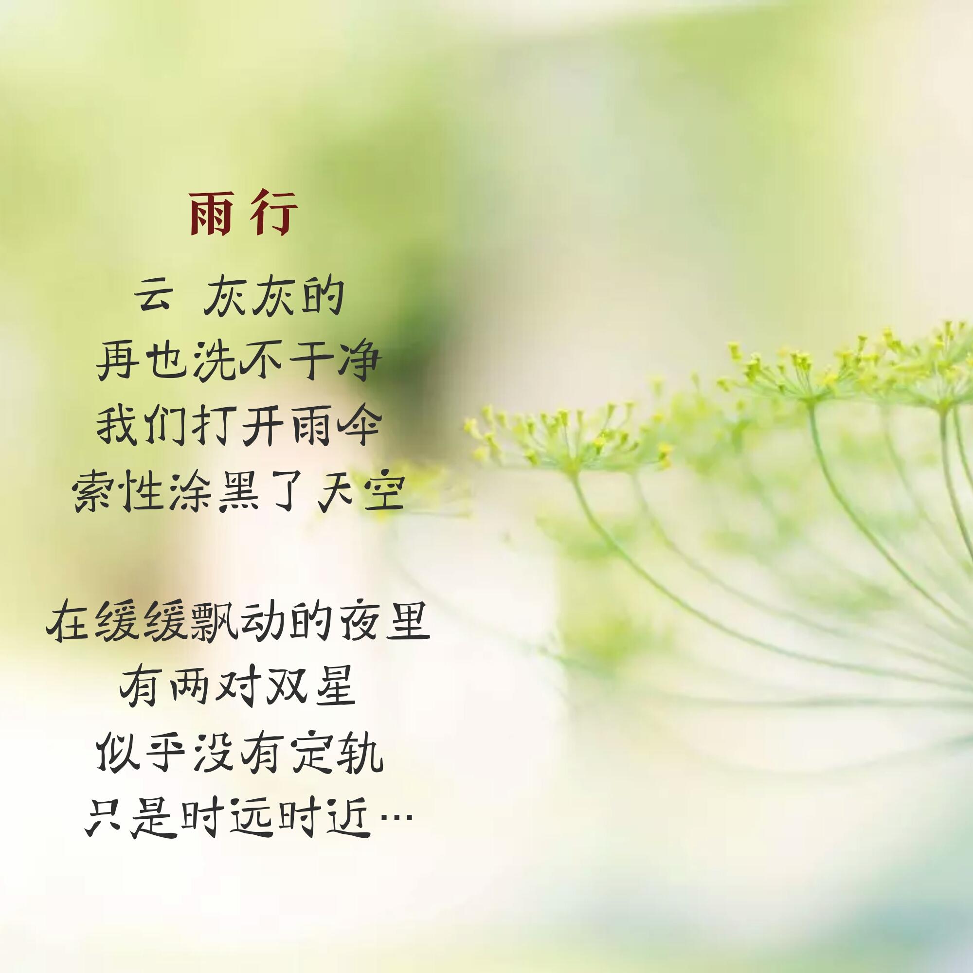 热门歌曲排行前20首，小巷中的音乐天堂榜单揭晓！