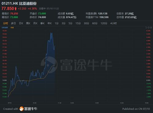 比亚迪股票，驶向成功的投资励志之旅