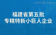 专精特新小巨人上市公司，探寻小巷中的独特风味之旅