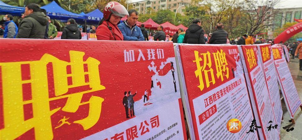 江西泰和最新职位招聘大揭秘，求职者的福音！