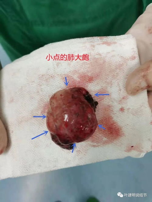 五A添盛坊青稞原浆 第150页