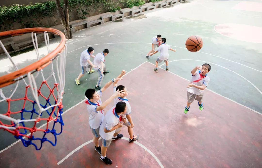 乐博体育下载最新版，小巷中的隐藏宝藏与独特环境小店故事探索