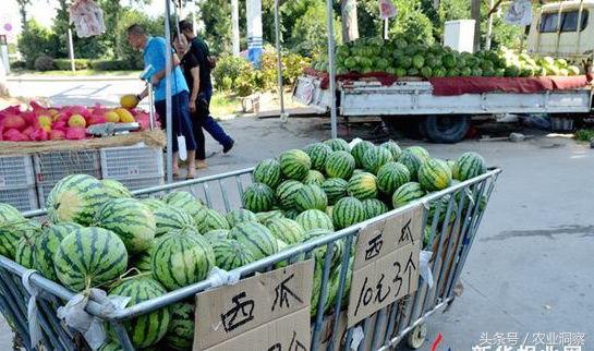 科技革新引领夏日西瓜市场，最新行情畅享清凉