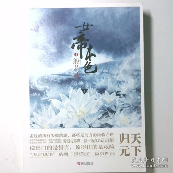 时代背景下的瑰丽传奇，天下归元最新小说全解析