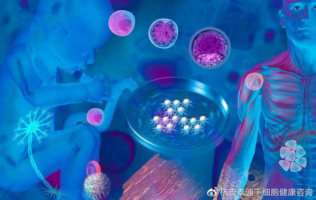 干细胞技术最新成果，引领医学新时代的光辉篇章揭秘