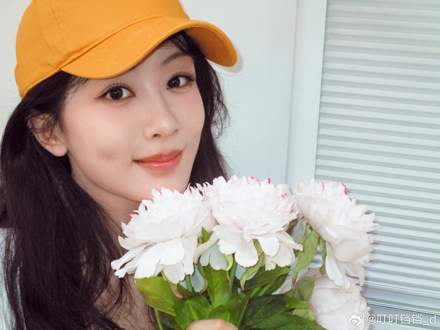 杨紫微博最新动态揭秘，言论与观点的背后故事