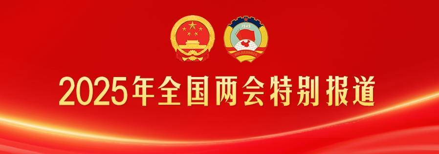 最新时政要闻及其论述文概览