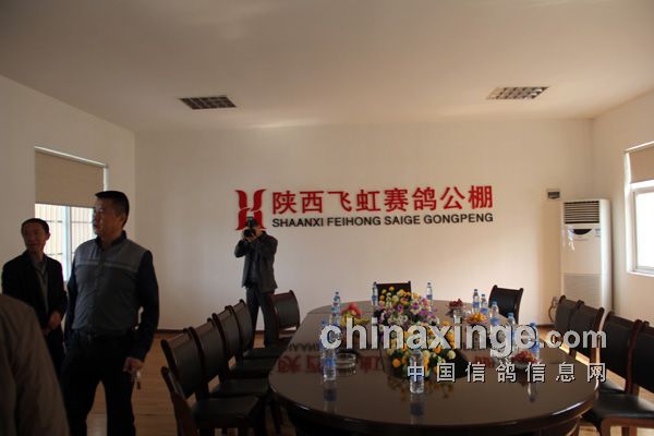 万佳公棚最新公告发布，内容亮点抢先看✨