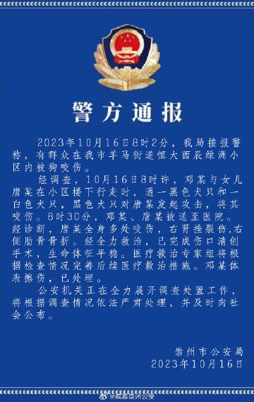 案件通报最新深度解析，背景、进展与影响全揭秘