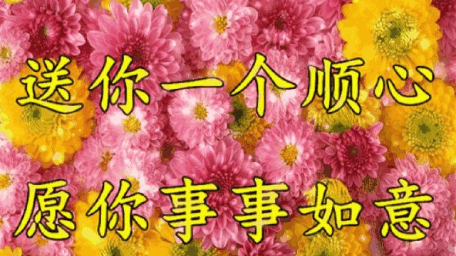 健健康康最新版，小巷中的隐藏宝藏，独特环境小店之旅探索
