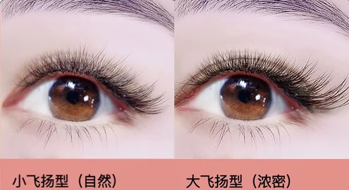最新自然睫毛款式详解与打造自然迷人眼妆的步骤指南
