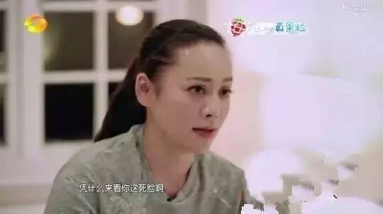宁静最新采访视频，深度探讨与洞察独家报道