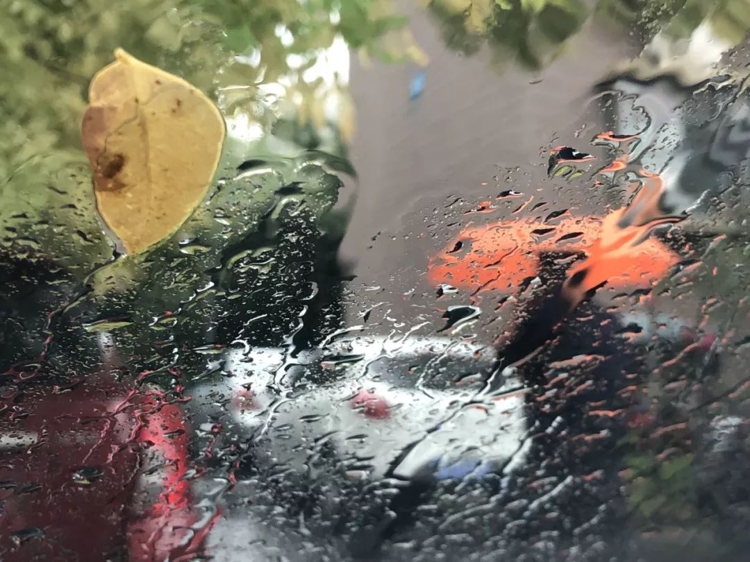 安庆降雨最新消息，雨中故事与实时更新资讯