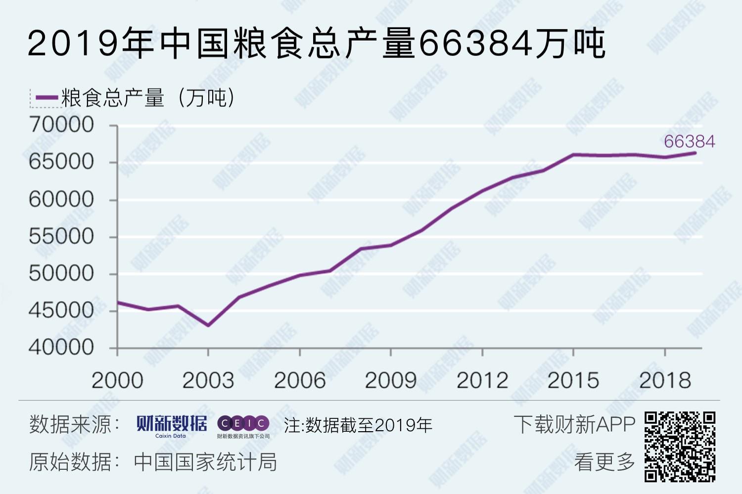 中国最新粮食产量背后的故事，稻田丰收与家的温暖