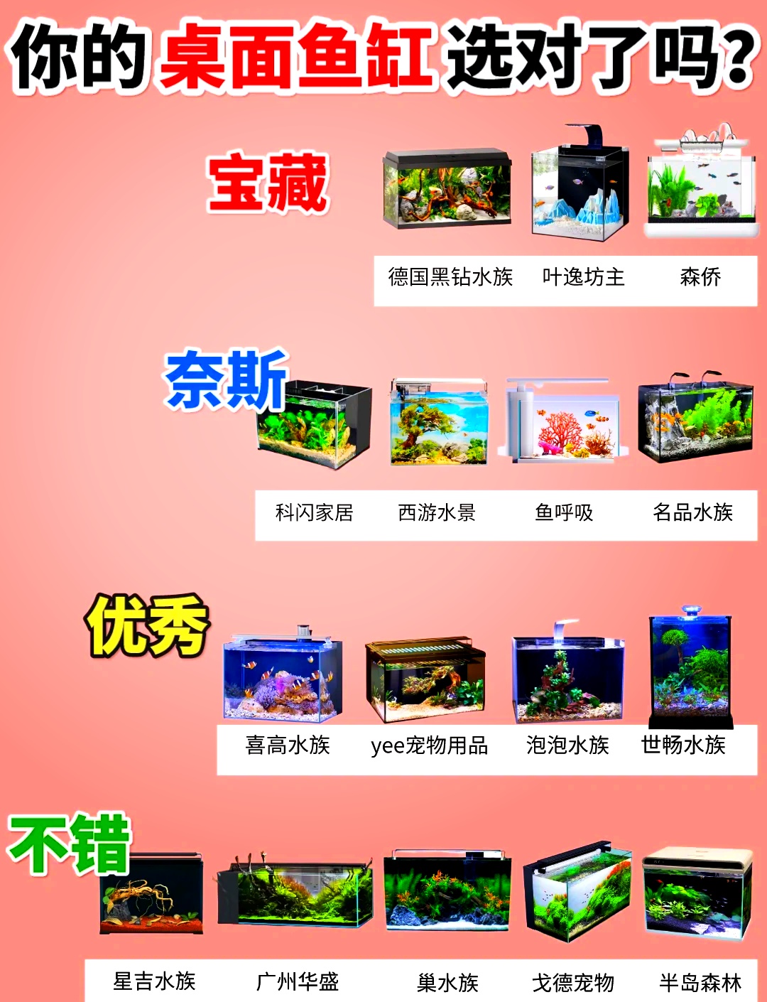 时代背景下的水族盛事，最新鱼缸排名一览