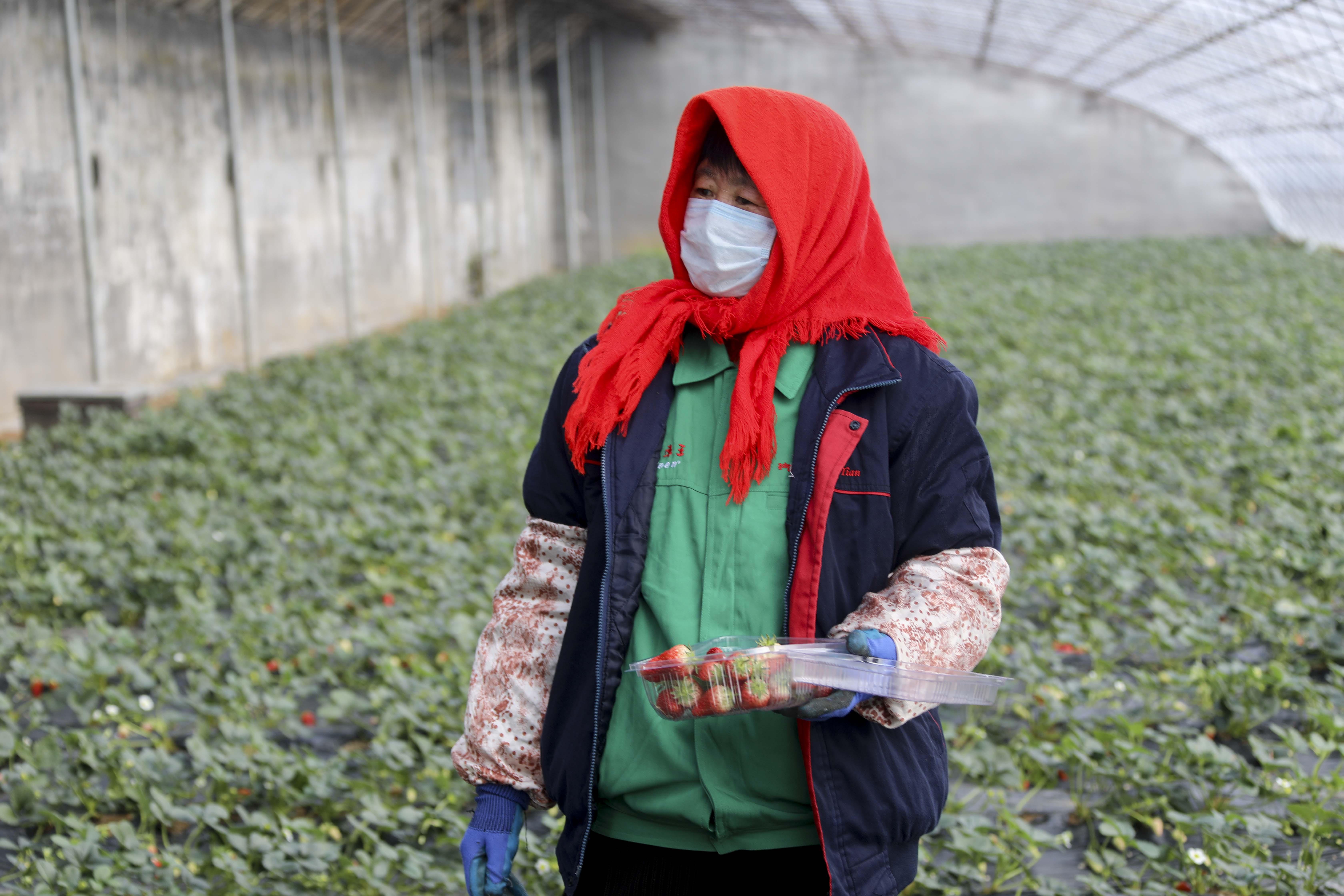青岛疫情下的领导智慧，处理疫情与家的温暖并蓄展现领导力